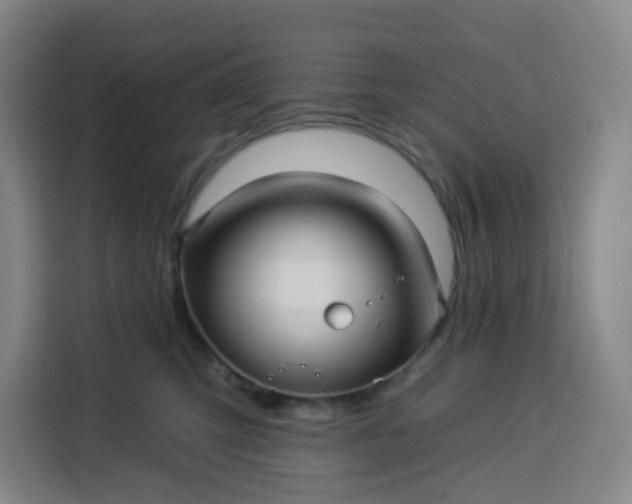 X0000113530423200910021333