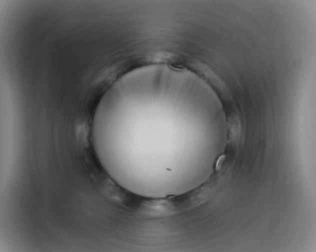 X0000113530427200910021333