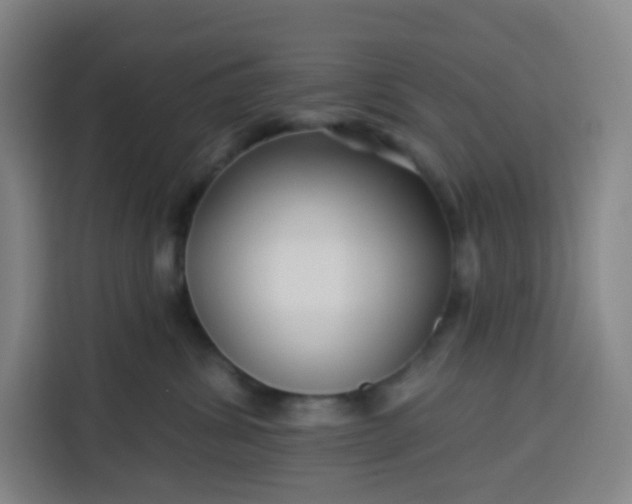 X0000113530428200910021333