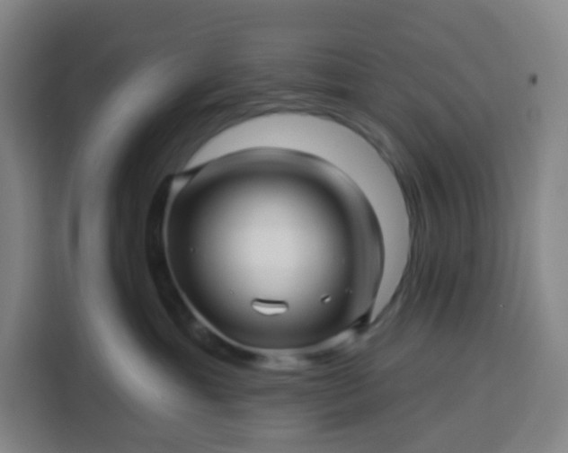 X0000113530429200910021333