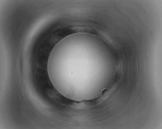 X0000113530430200910021333