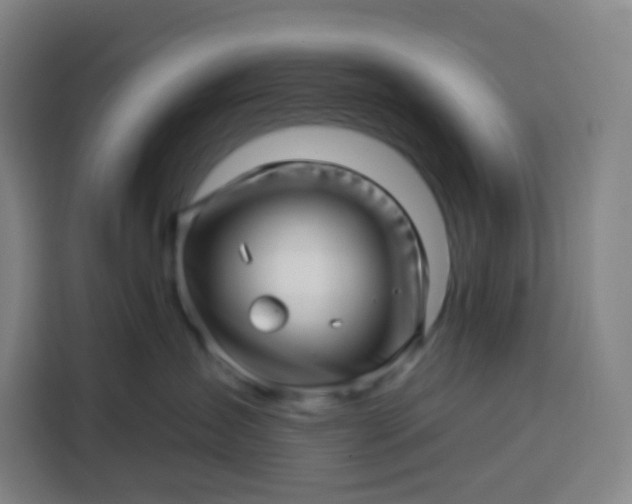 X0000113530431200910021333