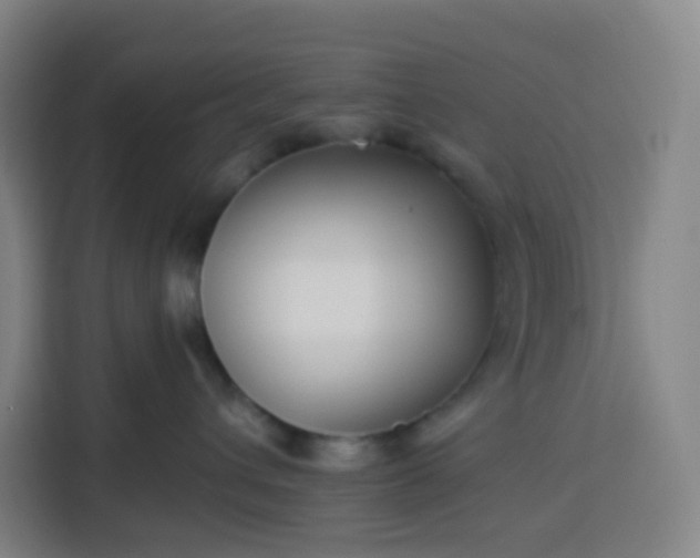 X0000113530432200910021333