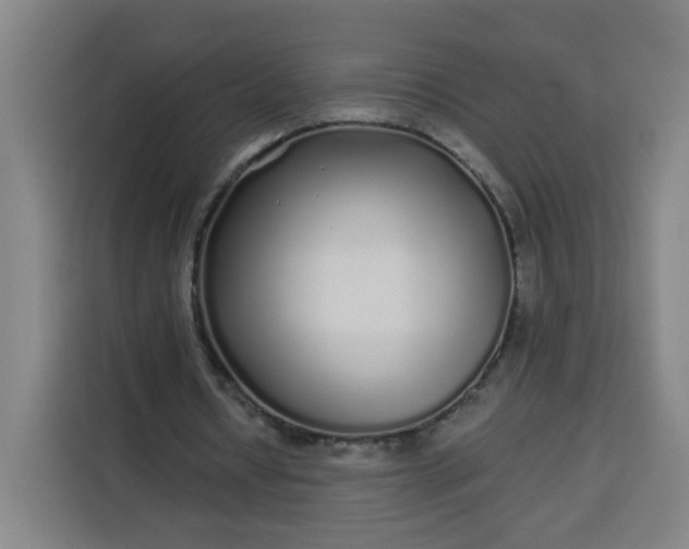 X0000113530434200910021332