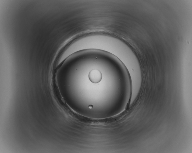 X0000113530440200910021332