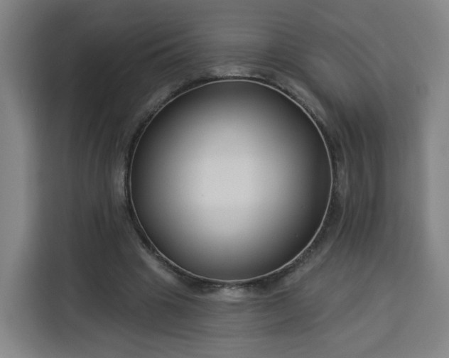 X0000113530441200910021333