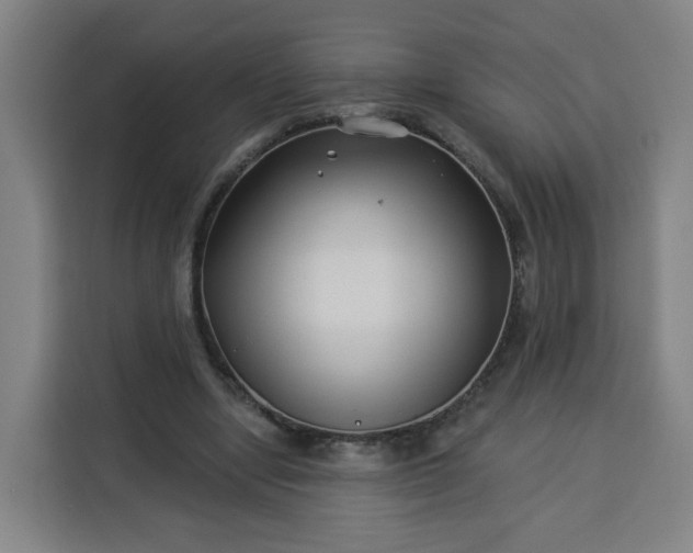 X0000113530442200910021333