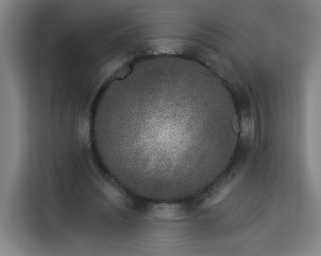 X0000113530444200910021333