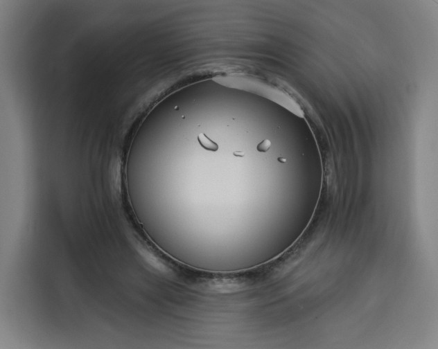 X0000113530445200910021333