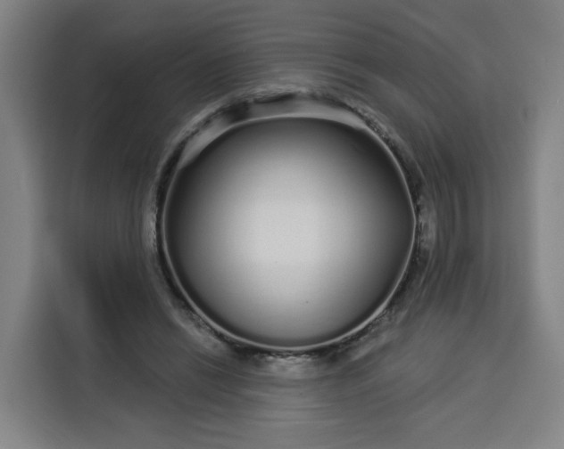 X0000113530446200910021333