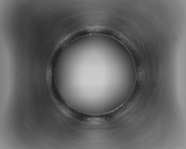 X0000113530448200910021333