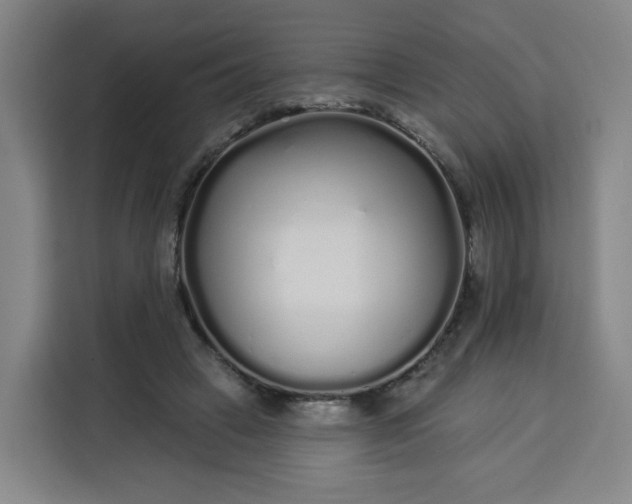 X0000113530449200910021333