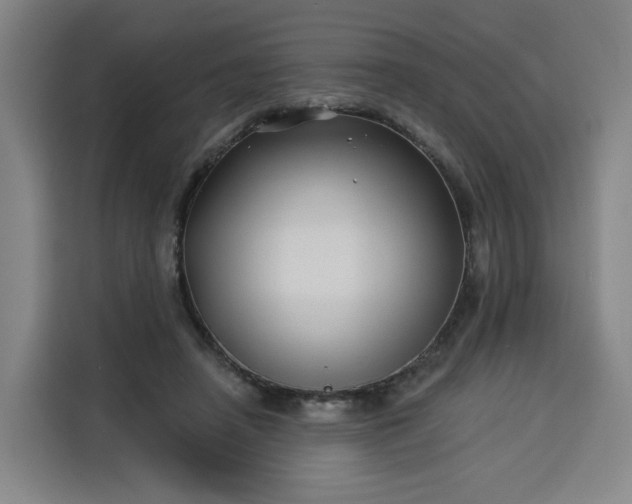 X0000113530450200910021333