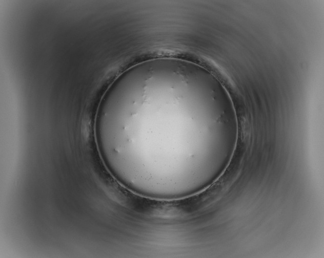 X0000113530451200910021333