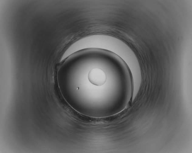 X0000113530452200910021333