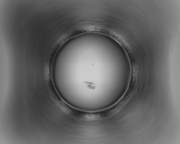 X0000113530453200910021333