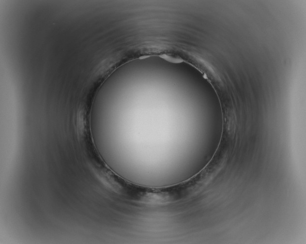 X0000113530455200910021333