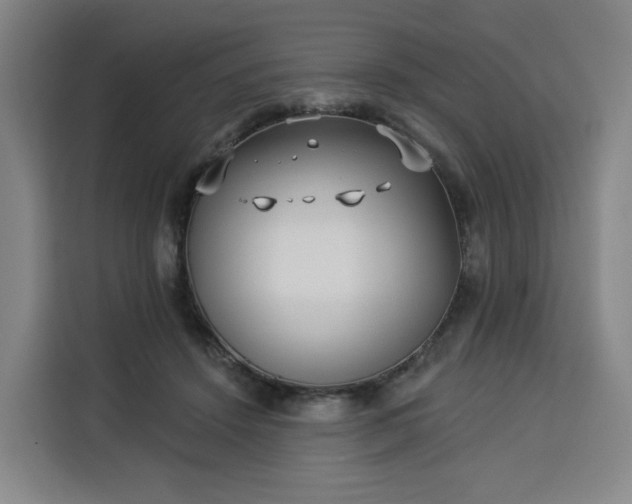 X0000113530456200910021333