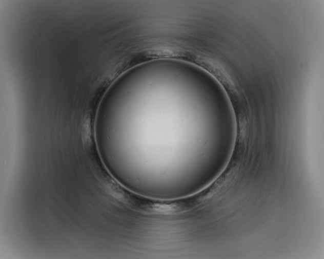 X0000113530457200910021333