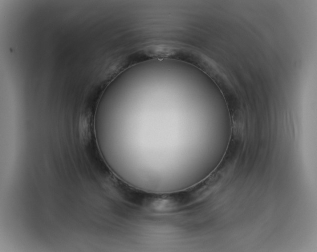 X0000113530460200910021333