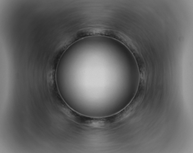 X0000113530462200910021333