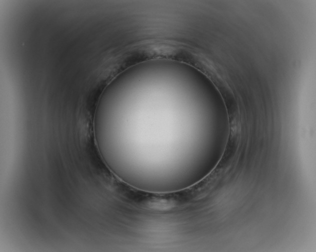 X0000113530464200910021333