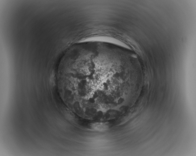 X0000113530465200910021333