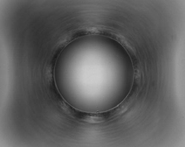 X0000113530466200910021333