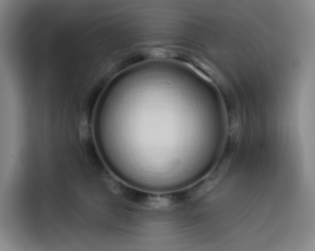 X0000113530469200910021333