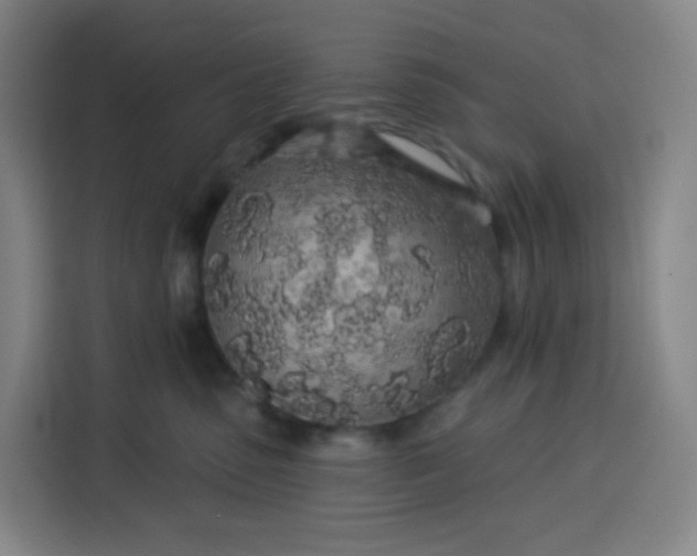 X0000113530475200910021333