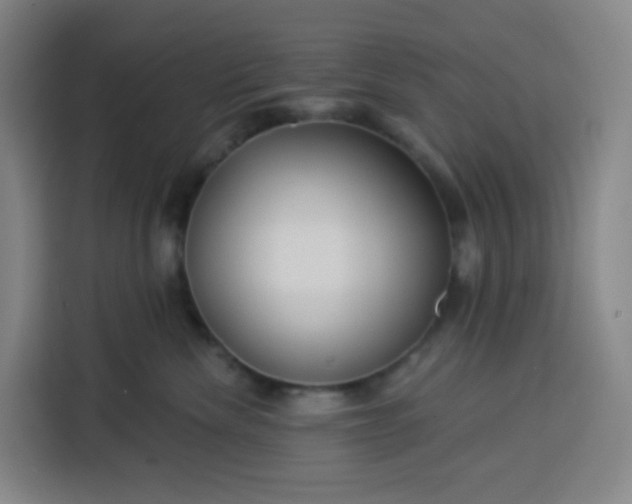 X0000113530476200910021333