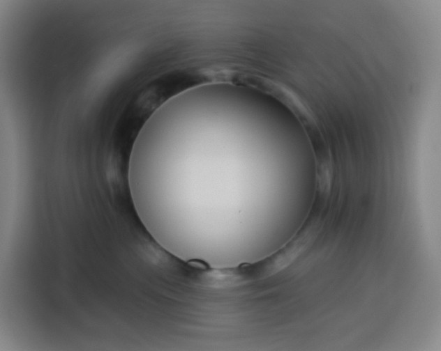 X0000113530477200910021333