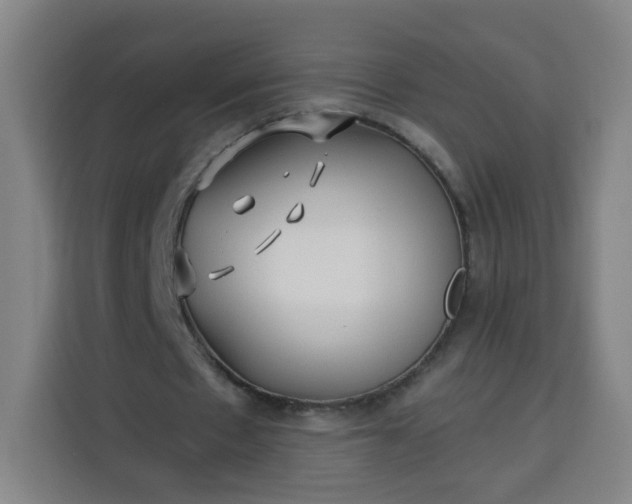 X0000113530481200910021332