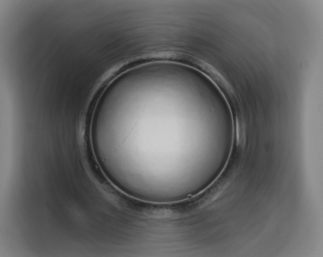 X0000113530483200910021332