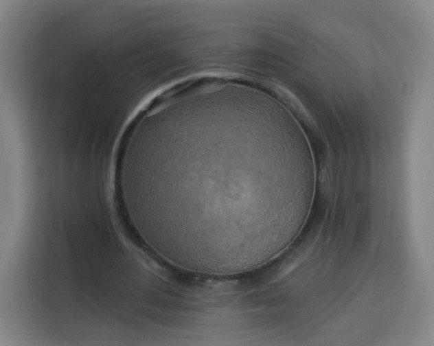 X0000113530484200910021332