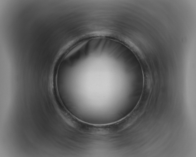 X0000113530486200910021332