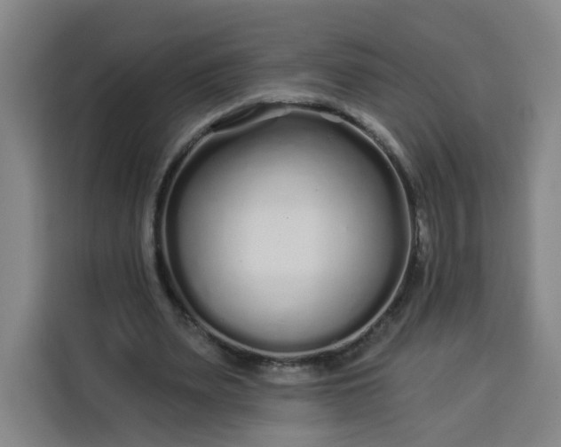 X0000113530487200910021332