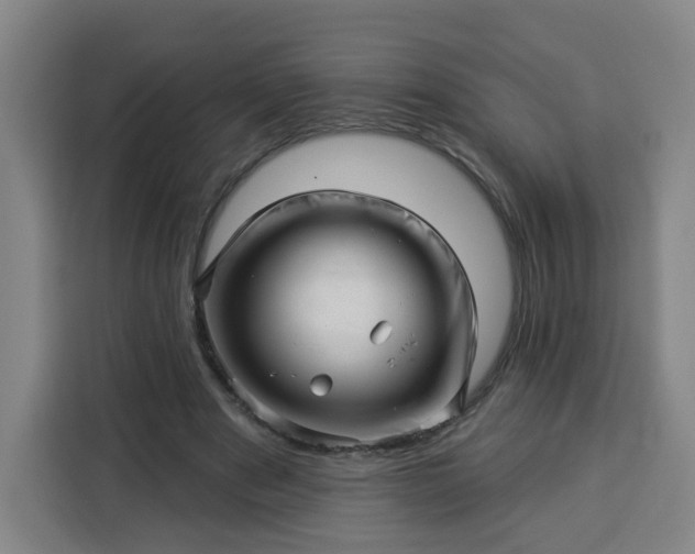 X0000113530489200910021332