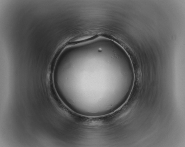 X0000113530491200910021332