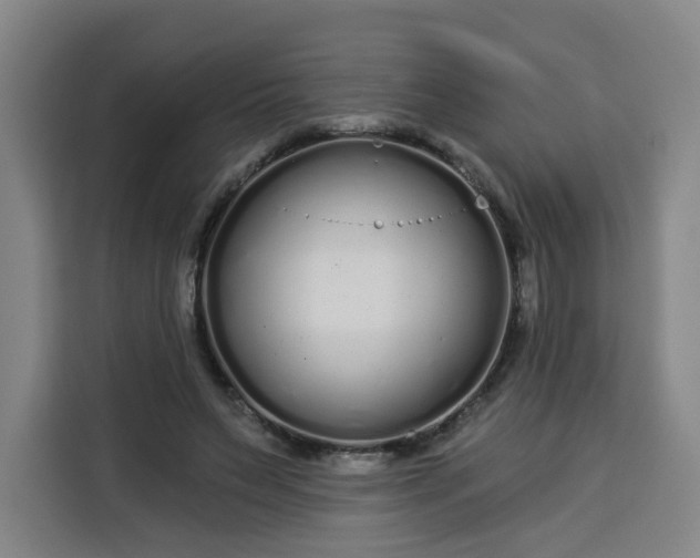 X0000113530495200910021332