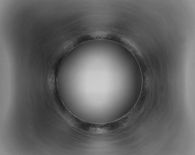 X0000113530498200910021332