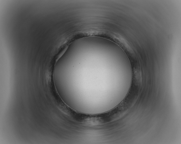 X0000113530499200910021332