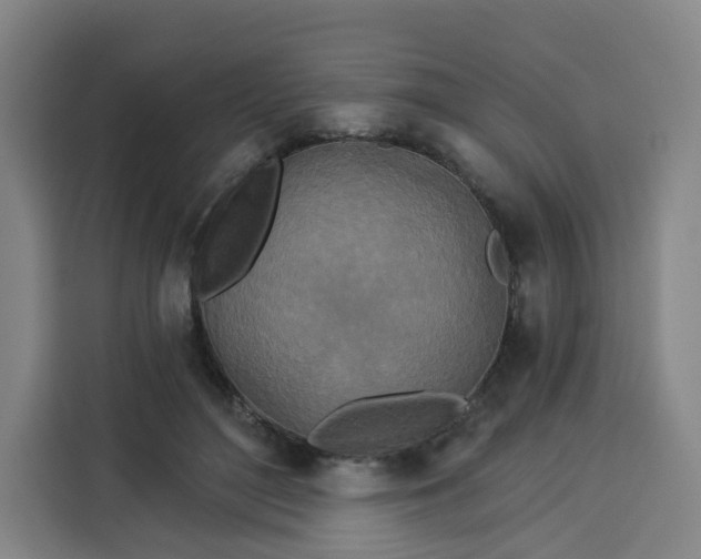 X0000113530500200910021332