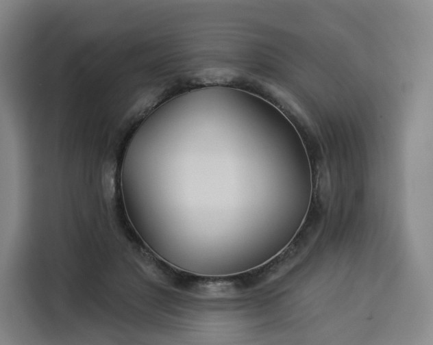 X0000113530501200910021332