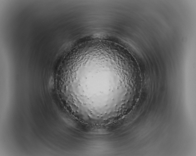 X0000113530502200910021332