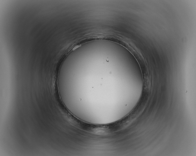 X0000113530505200910021332