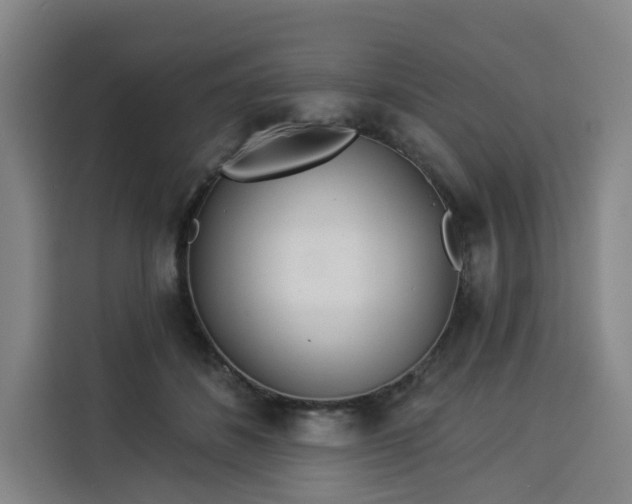 X0000113530508200910021332