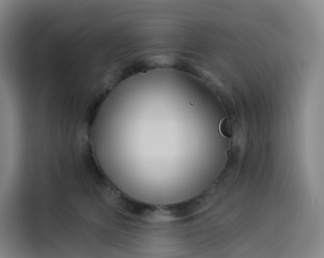 X0000113530518200910021332