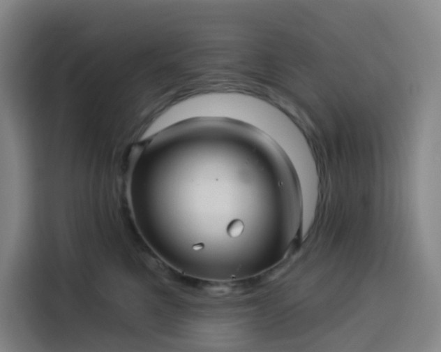 X0000113530521200910021332