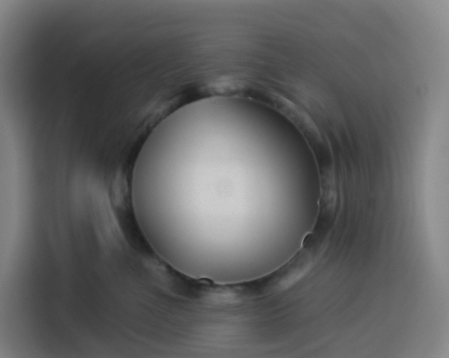 X0000113530523200910021332